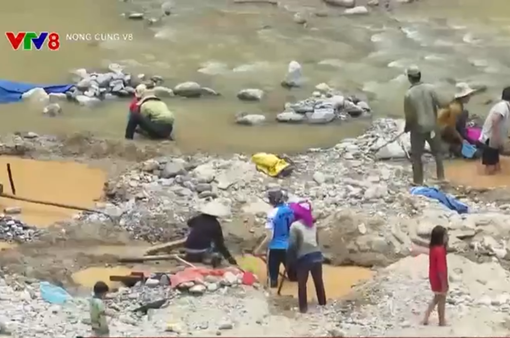 Nóng tình trạng đào đãi vàng dưới sông suối ở Quảng Nam