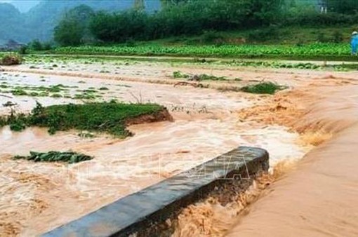 Mưa lớn kèm gió lốc gây nhiều thiệt hại tại Lạng Sơn