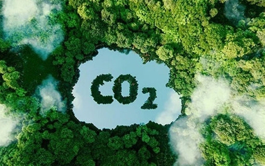 Việt Nam sở hữu tiềm năng lớn về thị trường tín chỉ carbon