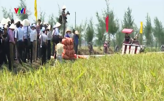 Nhật Bản tìm kiếm cơ hội hợp tác nông nghiệp tại Nam Định
