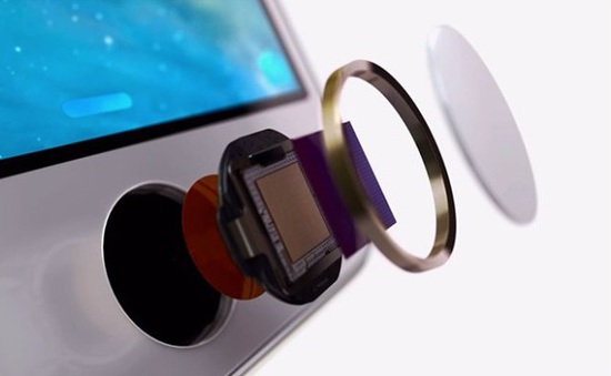 Touch ID sẽ không trở lại trên các mẫu iPhone cao cấp, ít nhất trong tương lai gần