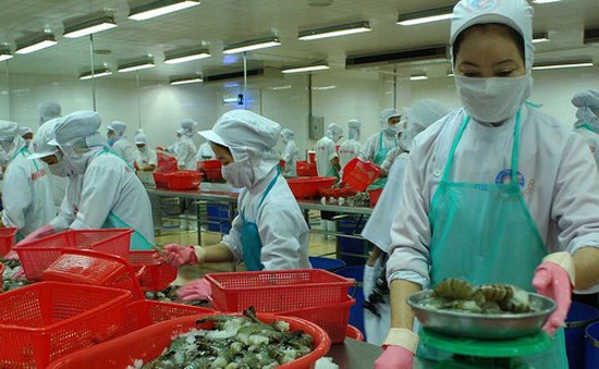 Trung Quốc gỡ bỏ lệnh tạm dừng nhập khẩu tôm sú Việt Nam