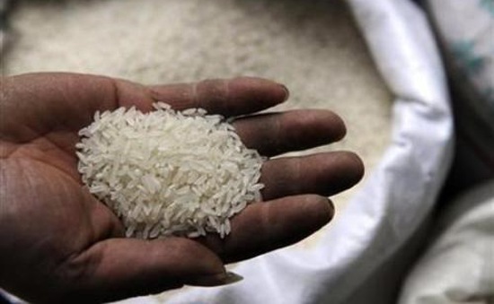 Gạo nhựa chưa từng xuất hiện ở Việt Nam