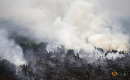Indonesia chưa thể giải quyết triệt để nạn cháy rừng