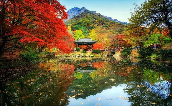 Ngẩn ngơ trước vẻ đẹp tiên cảnh ở Hàn Quốc