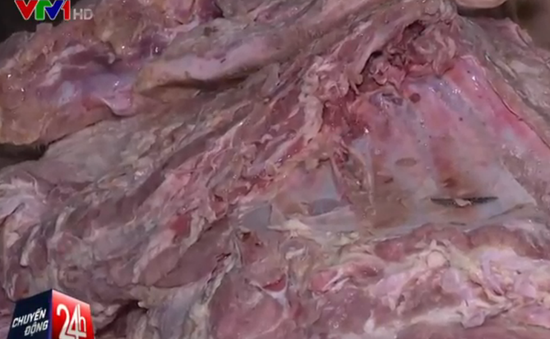 Bắt hơn 4 tấn thịt lợn chết chuẩn bị tuồn ra thị trường