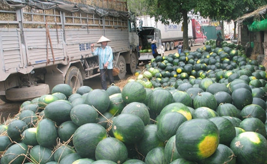 Tái diễn cảnh hàng nghìn tấn nông sản ùn ứ tại cửa khẩu Tân Thanh