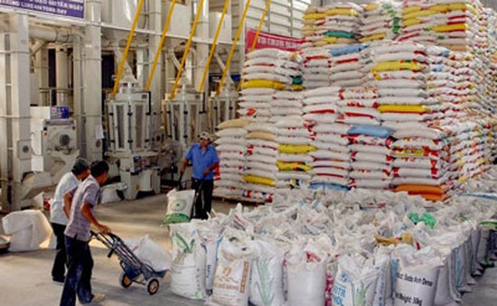 Philippines tạm dừng nhập khẩu gạo