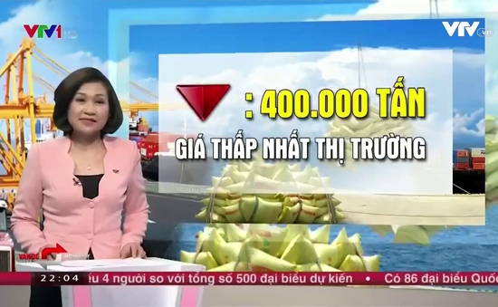“Ký nghị định thư mới, lượng gạo Việt xuất sang Trung Quốc khó tăng”