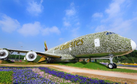 Dùng 5 triệu bông hoa tạo hình máy bay Airbus A380