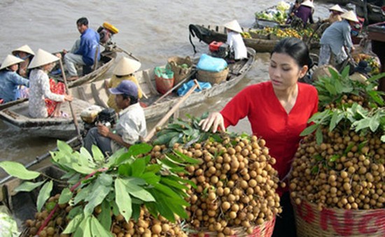 Ban Chỉ đạo Tây Nam Bộ sẽ là đầu mối liên kết vùng ĐBSCL