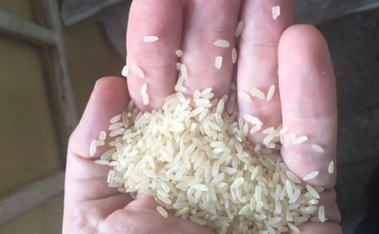 Phát hiện 2,5 tấn gạo nhựa nghi sản xuất ở Trung Quốc