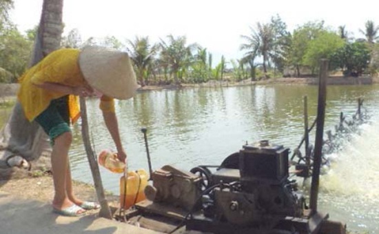 Thiếu điện nuôi tôm tại Bạc Liêu: Do địa phương không phải vùng nuôi quy hoạch
