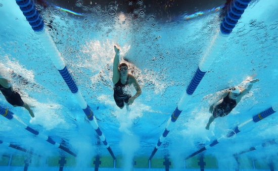 Olympic Rio 2016: Những điều cần biết về môn bơi!