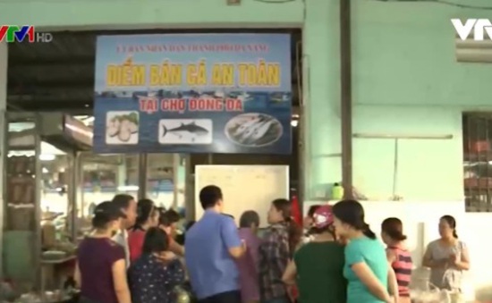 Đà Nẵng: Cá sạch - cung không đủ cầu