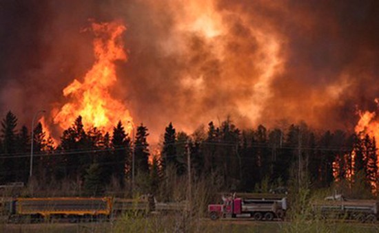 Canada: Cháy rừng tiếp tục hoành hành tại miền Nam Fort McMurray
