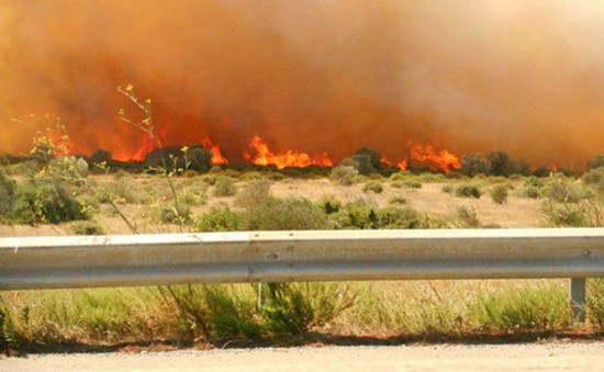 Cháy rừng tại Bồ Đào Nha gây ảnh hưởng lớn
