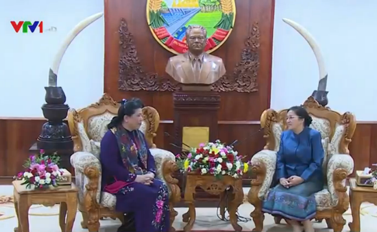 Đồng chí Tòng Thị Phóng hội kiến Tổng Bí thư, Chủ tịch nước, Chủ tịch Quốc hội Lào