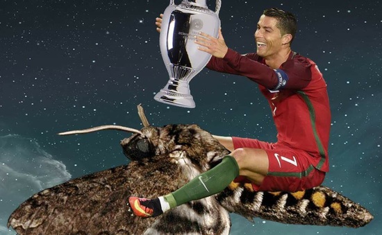 Chú bướm đêm đậu trên mặt Ronaldo gây náo loạn mạng xã hội