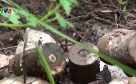 Quảng Ngãi phát hiện 20 quả đạn M79 trong vườn nhà dân