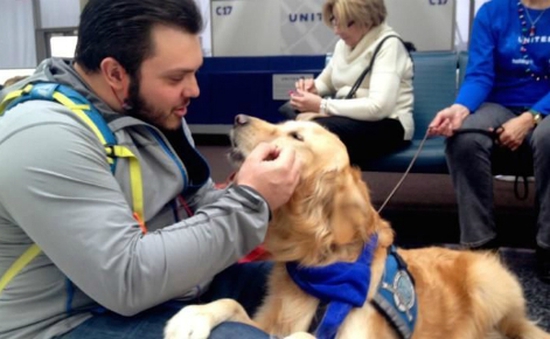 Sử dụng chó để trấn an hành khách tại sân bay