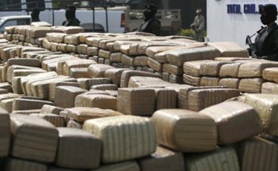 Cảnh sát Tây Ban Nha triệt phá đường dây lớn buôn ma túy đến Đông Âu