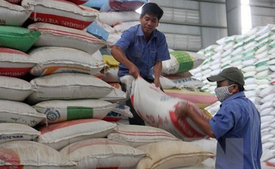 Hỗ trợ 7.000 tấn gạo cho người dân vùng khó khăn