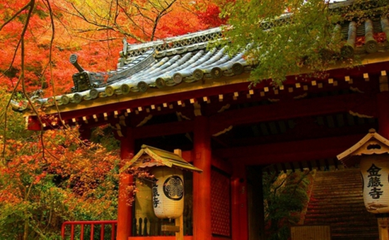 Những nơi ngắm lá vàng, lá đỏ đặc trưng vào mùa thu ở Nhật Bản