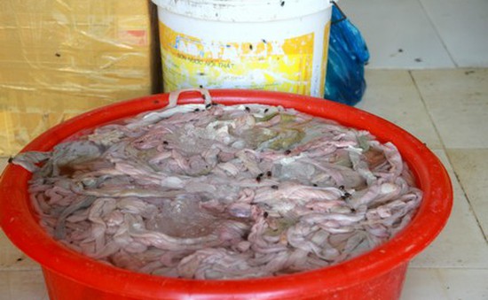 Bắt quả tang cơ sở xử lý phụ phẩm lợn bằng hóa chất