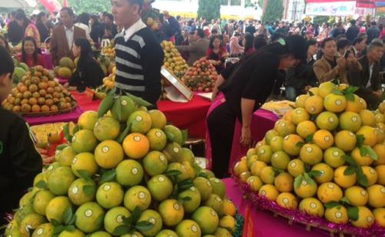 500 tấn cam Cao Phong được bán trong ngày khai mạc