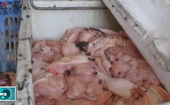 Đà Nẵng phát hiện cơ sở chế biến động vật “chui” tuồn mỡ bẩn ra thị trường