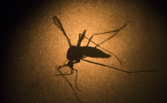 Chất liệu chống muỗi hiệu quả gấp 6 lần bình xịt