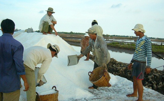 Diêm dân Phú Yên loay hoay tìm doanh nghiệp tạm trữ muối