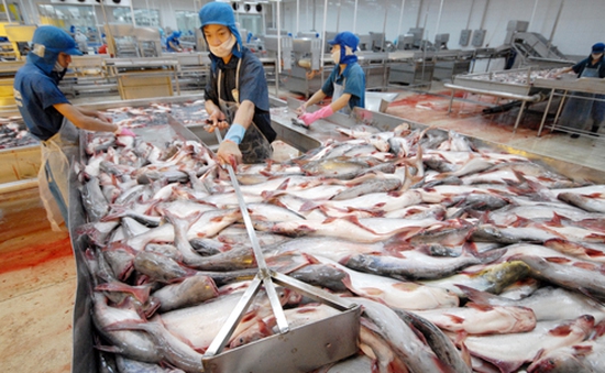 DN thủy sản Việt phấn khởi trước việc Mỹ bác bỏ giám sát cá da trơn