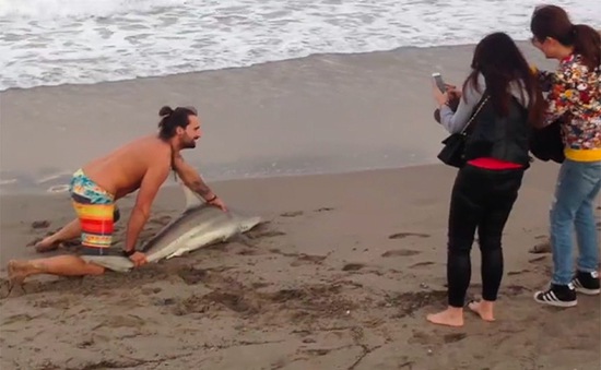 Người đàn ông gây phẫn nộ vì lôi cá mập lên bờ để... selfie