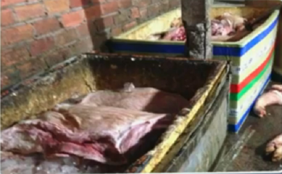 Đồng Nai: Phát hiện gần 2 tấn thịt và xương lợn bốc mùi hôi thối