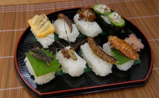Côn trùng - Xu hướng mới trong ẩm thực Nhật Bản