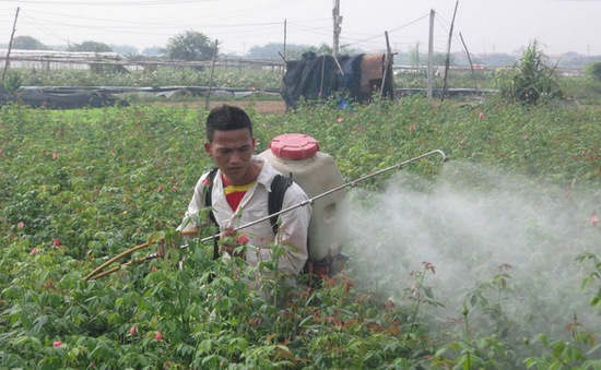 Loại bỏ hoạt chất Carbendazim và Paraquat trong năm nay