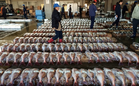 Ngành thủy sản Fukushima chật vật sau thảm họa kép