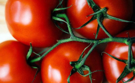 5 lý do bạn nên ăn cà chua