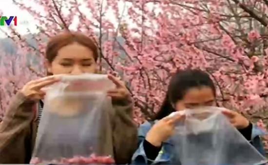 Giới trẻ Trung Quốc lên núi mua túi nilon đựng "không khí sạch"