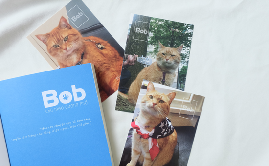 Hành trình phiêu lưu cùng "Bob - Chú mèo đường phố"