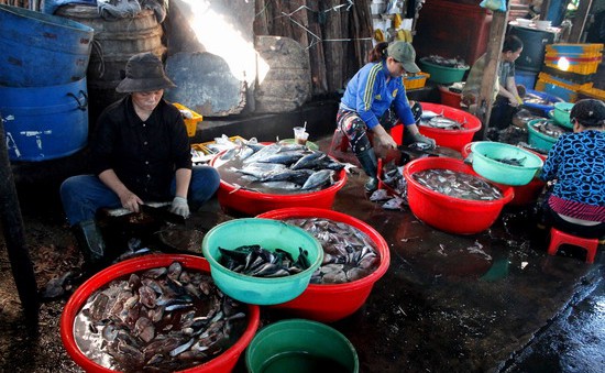 Nhọc nhằn nghề hấp cá tại Quy Nhơn