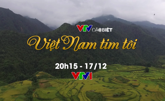 VTV Đặc biệt: Việt Nam tim tôi (20h15, VTV1)