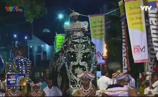 Độc đáo lễ hội diễu hành voi cầu bình an
