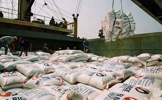 Xuất khẩu gạo của Việt Nam tăng trưởng mạnh về giá trị