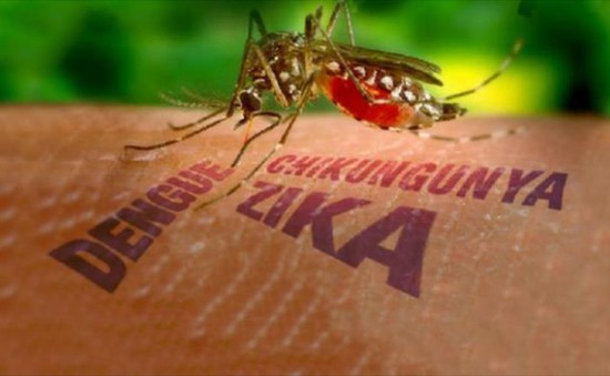 Nỗi ám ảnh virus Zika lan rộng trên toàn thế giới