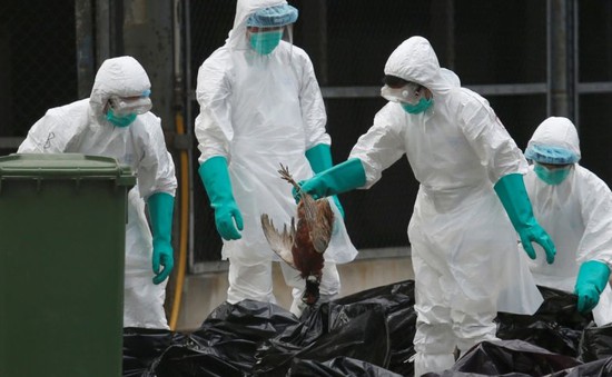 Số ca nhiễm cúm H7N9 tăng đột biến tại Trung Quốc