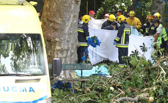 Cây đổ khiến 12 người Bồ Đào Nha thiệt mạng
