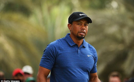 Tay golf huyền thoại Tiger Woods phải ngồi tù vì say xỉn lái xe